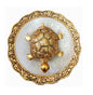 Golden Turtle With Plate